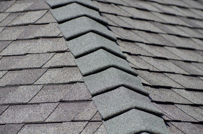 Summer Roofing Maintenance